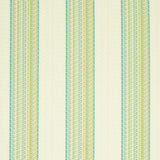 Schumacher Bendita Stripe Indoor/Outdoor Leaf Fabric
