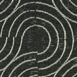 Schumacher Alma Indoor/Outdoor Carbon Fabric