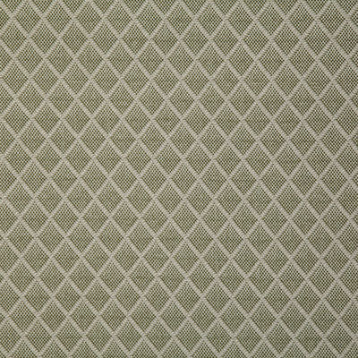 Pindler HARROGATE PALM 7955 Fabric - Fabric Collection
