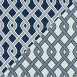 Schumacher Cleo Trellis Indoor/Outdoor Blue Fabric