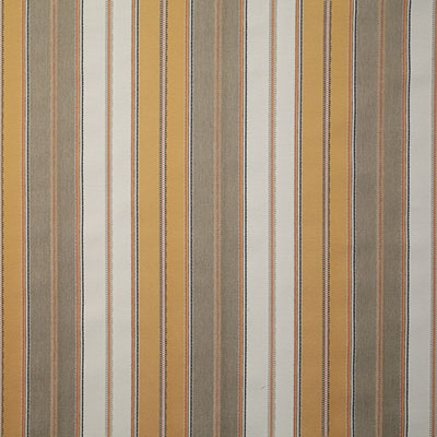 Pindler EVEREST YELLOW 7957 Fabric - Fabric Collection