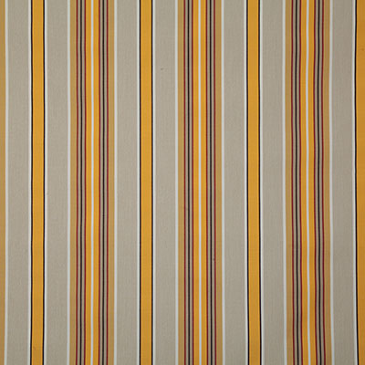 Pindler BAJA MARIGOLD 7978 Fabric - Fabric Collection