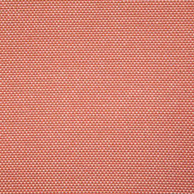 Pindler GAINSVILLE CORAL 7990 Fabric - Fabric Collection