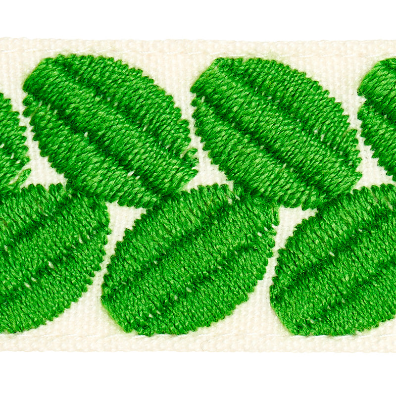 Schumacher 79913 BERKELEY TAPE NARROW in LEAF Trim - HAPPY T