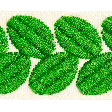 Schumacher 79913 BERKELEY TAPE NARROW in LEAF Trim - HAPPY T