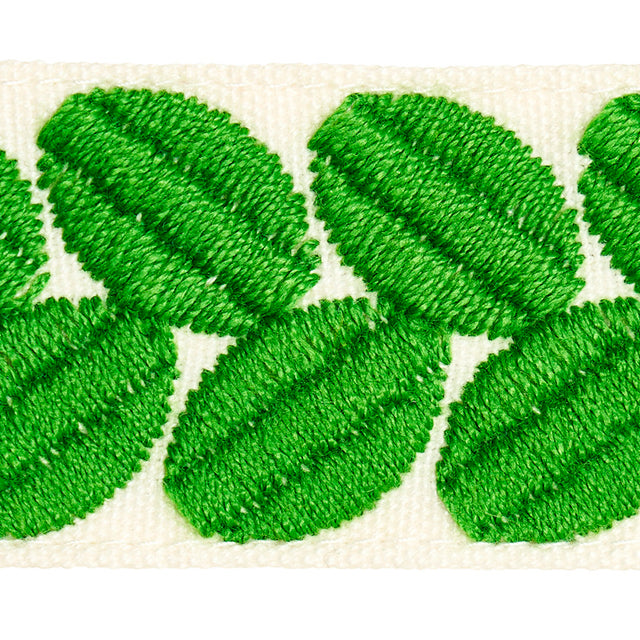 Schumacher 79913 BERKELEY TAPE NARROW in LEAF Trim - HAPPY T