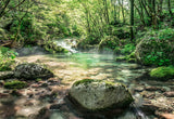 Komar 8-135 Riverbed Wall Mural