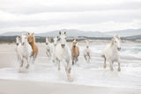 Komar 8-986 White Horses Mural