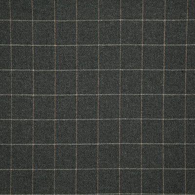 Pindler CALLUM CHARCOAL 8009 Fabric