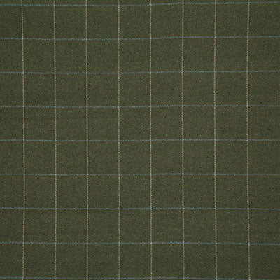 Pindler CALLUM MOSS 8009 Fabric