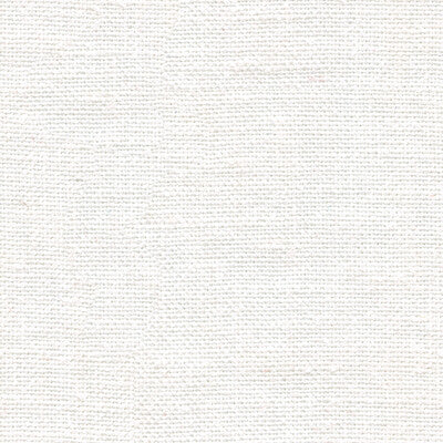 BRUNSCHWIG & FILS 8012140.101.0 BANKERS LINEN CLOUD Fabric - Eade's Wallpaper