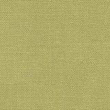 BRUNSCHWIG & FILS 8012140.303.0 BANKERS LINEN LIME Fabric - Eade's Wallpaper
