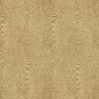 BRUNSCHWIG & FILS 8013142.16.0 WOOD TAN Fabric - Eade's Wallpaper