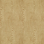 BRUNSCHWIG & FILS 8013142.16.0 WOOD TAN Fabric - Eade's Wallpaper