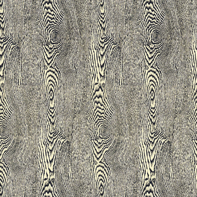 BRUNSCHWIG & FILS 8013142.5.0 WOOD INDIGO Fabric - Eade's Wallpaper