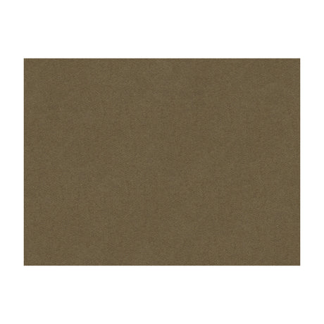 BRUNSCHWIG & FILS 8013149.106.0 CHEVALIER WOOL TAUPE Fabric - Eade's Wallpaper