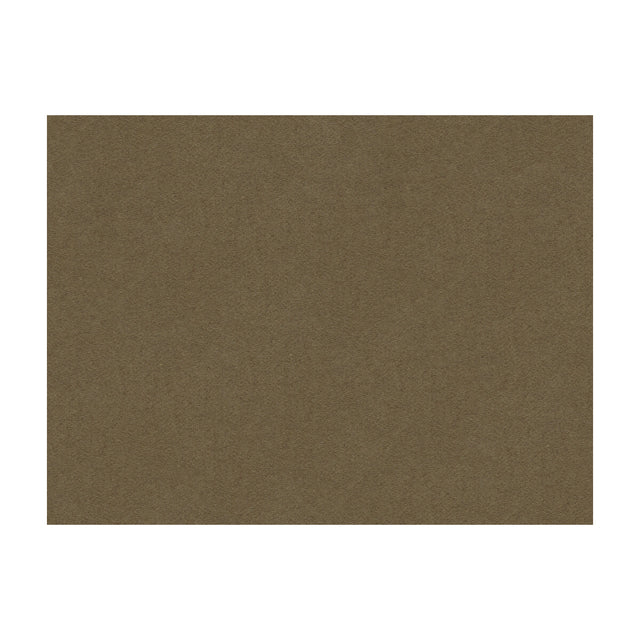 BRUNSCHWIG & FILS 8013149.106.0 CHEVALIER WOOL TAUPE Fabric - Eade's Wallpaper