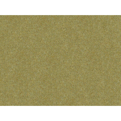 BRUNSCHWIG & FILS 8013149.130.0 CHEVALIER WOOL SAGE Fabric - Eade's Wallpaper