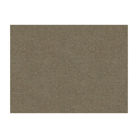 BRUNSCHWIG & FILS 8013149.2111.0 CHEVALIER WOOL DRIFTWOOD Fabric - Eade's Wallpaper