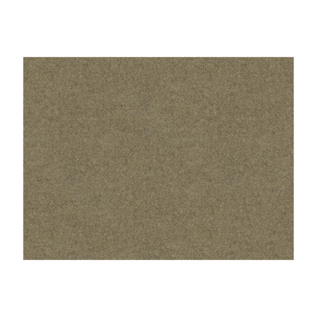 BRUNSCHWIG & FILS 8013149.611.0 CHEVALIER WOOL PONGEE Fabric - Eade's Wallpaper