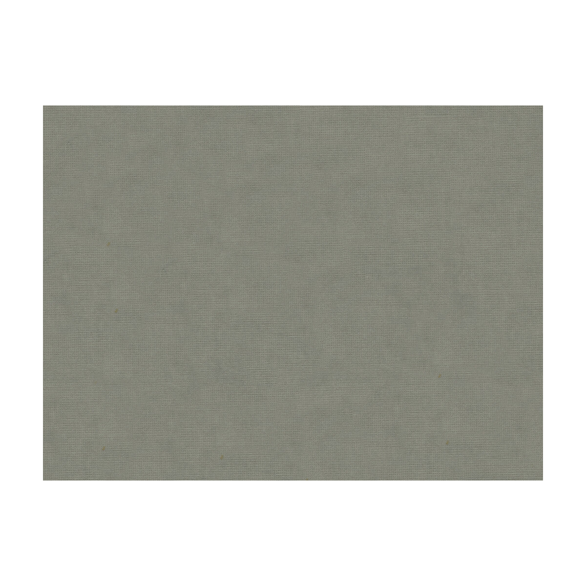 BRUNSCHWIG & FILS 8013150.11.0 CHARMANT VELVET PEWTER Fabric - Eade's Wallpaper