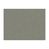 BRUNSCHWIG & FILS 8013150.11.0 CHARMANT VELVET PEWTER Fabric - Eade's Wallpaper