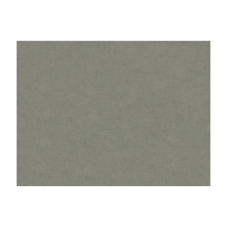 BRUNSCHWIG & FILS 8013150.11.0 CHARMANT VELVET PEWTER Fabric - Eade's Wallpaper
