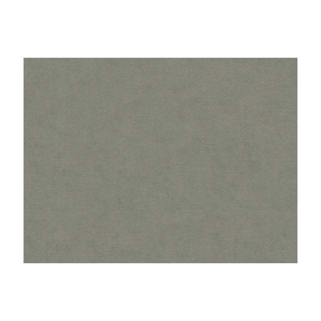 BRUNSCHWIG & FILS 8013150.11.0 CHARMANT VELVET PEWTER Fabric - Eade's Wallpaper