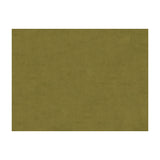 BRUNSCHWIG & FILS 8013150.130.0 CHARMANT VELVET OLIVE Fabric - Eade's Wallpaper
