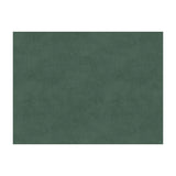 BRUNSCHWIG & FILS 8013150.135.0 CHARMANT VELVET ZINC Fabric - Eade's Wallpaper