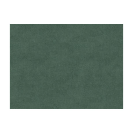 BRUNSCHWIG & FILS 8013150.135.0 CHARMANT VELVET ZINC Fabric - Eade's Wallpaper
