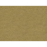 BRUNSCHWIG & FILS 8013150.1616.0 CHARMANT VELVET DRIFTWOOD Fabric - Eade's Wallpaper