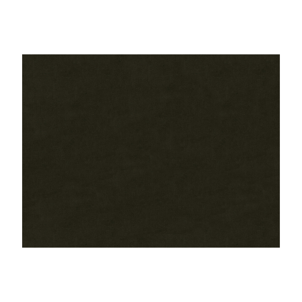 BRUNSCHWIG & FILS 8013150.21.0 CHARMANT VELVET COAL Fabric - Eade's Wallpaper