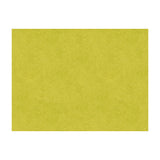 BRUNSCHWIG & FILS 8013150.3.0 CHARMANT VELVET PERIDOT Fabric - Eade's Wallpaper