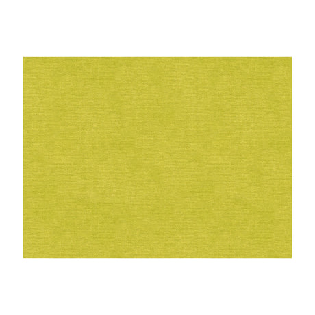 BRUNSCHWIG & FILS 8013150.3.0 CHARMANT VELVET PERIDOT Fabric - Eade's Wallpaper