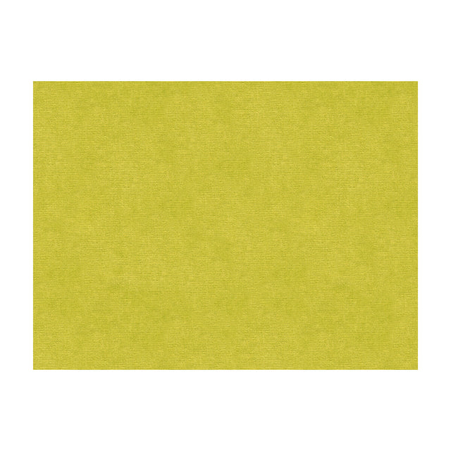 BRUNSCHWIG & FILS 8013150.3.0 CHARMANT VELVET PERIDOT Fabric - Eade's Wallpaper