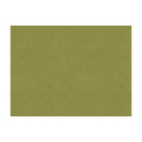 BRUNSCHWIG & FILS 8013150.303.0 CHARMANT VELVET FERN Fabric - Eade's Wallpaper