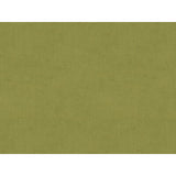 BRUNSCHWIG & FILS 8013150.303.0 CHARMANT VELVET FERN Fabric - Eade's Wallpaper