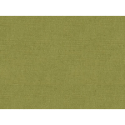BRUNSCHWIG & FILS 8013150.303.0 CHARMANT VELVET FERN Fabric - Eade's Wallpaper