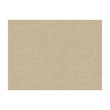 BRUNSCHWIG & FILS 8013150.311.0 CHARMANT VELVET MUSHROOM Fabric - Eade's Wallpaper