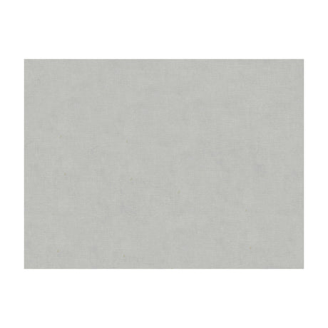 BRUNSCHWIG & FILS 8013150.511.0 CHARMANT VELVET SILVER Fabric - Eade's Wallpaper