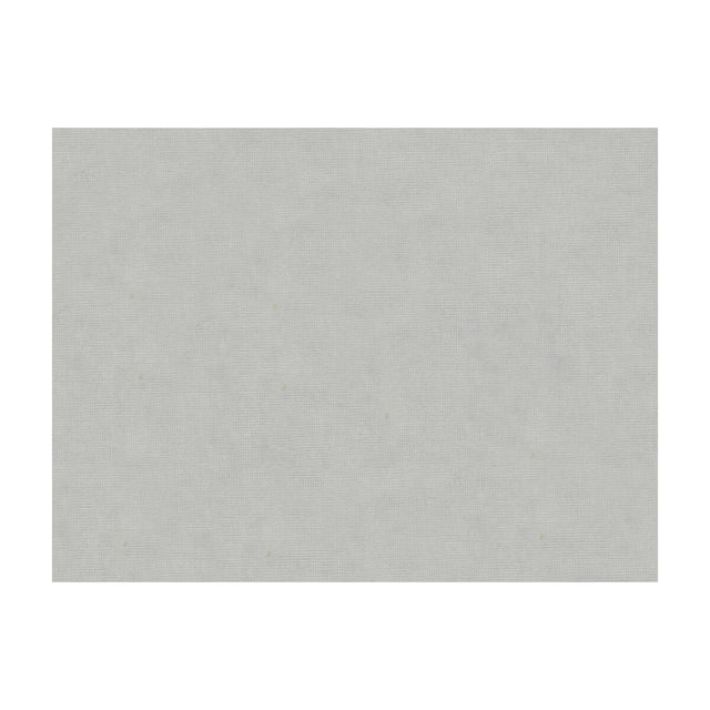 BRUNSCHWIG & FILS 8013150.511.0 CHARMANT VELVET SILVER Fabric - Eade's Wallpaper