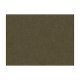 BRUNSCHWIG & FILS 8013150.611.0 CHARMANT VELVET ASH Fabric - Eade's Wallpaper