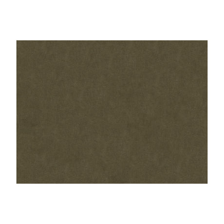 BRUNSCHWIG & FILS 8013150.611.0 CHARMANT VELVET ASH Fabric - Eade's Wallpaper