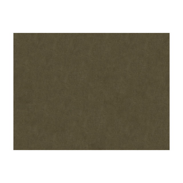 BRUNSCHWIG & FILS 8013150.611.0 CHARMANT VELVET ASH Fabric - Eade's Wallpaper