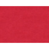 BRUNSCHWIG & FILS 8013150.7.0 CHARMANT VELVET CERISE Fabric - Eade's Wallpaper