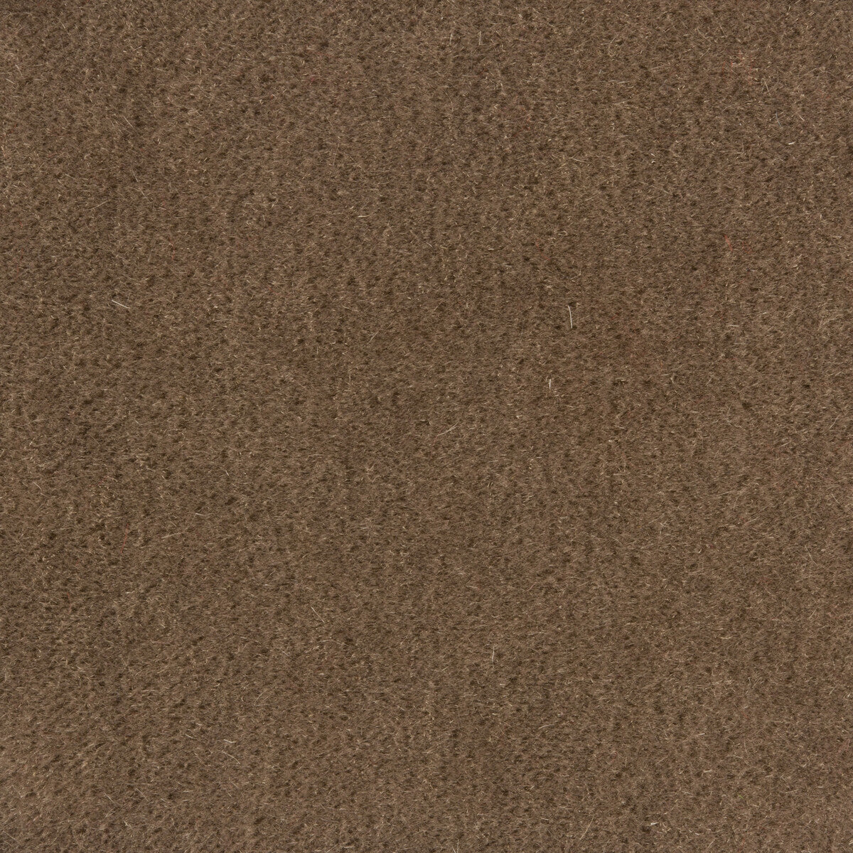 BRUNSCHWIG & FILS 8014101.1110.0 BACHELOR MOHAIR ASH Fabric - Eade's Wallpaper