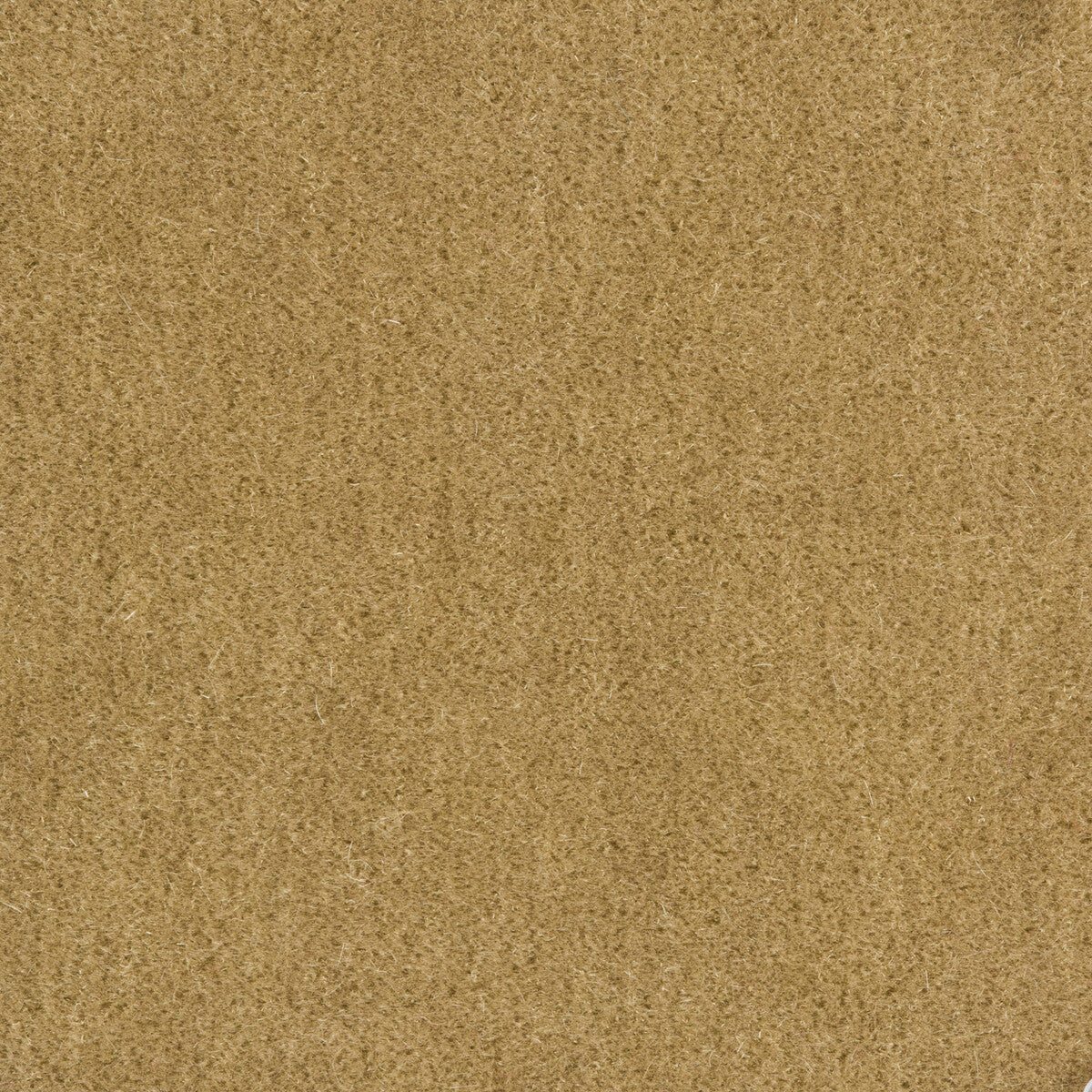 BRUNSCHWIG & FILS 8014101.116.0 BACHELOR MOHAIR FLAX Fabric - Eade's Wallpaper