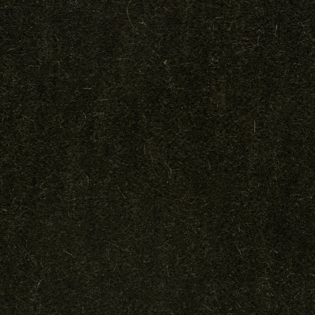 BRUNSCHWIG & FILS 8014101.30.0 BACHELOR MOHAIR THYME Fabric - Eade's Wallpaper