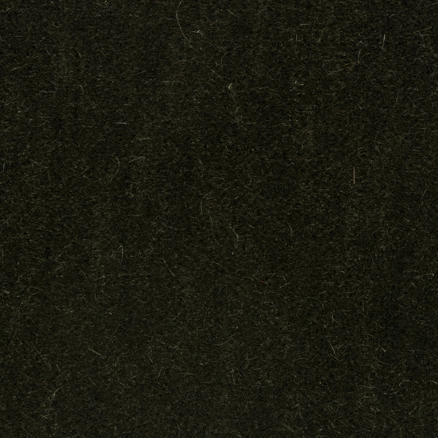 BRUNSCHWIG & FILS 8014101.30.0 BACHELOR MOHAIR THYME Fabric - Eade's Wallpaper